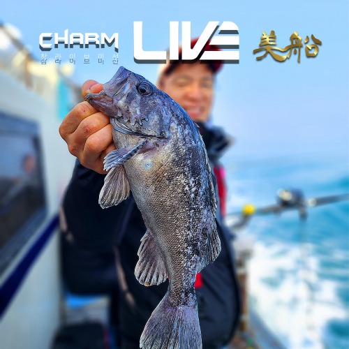 CHARM LIVE 美船 (참 라이브 미선)